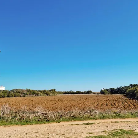 Amazing In Saint-georges-de-didon * Saint-Georges-de-Didonne