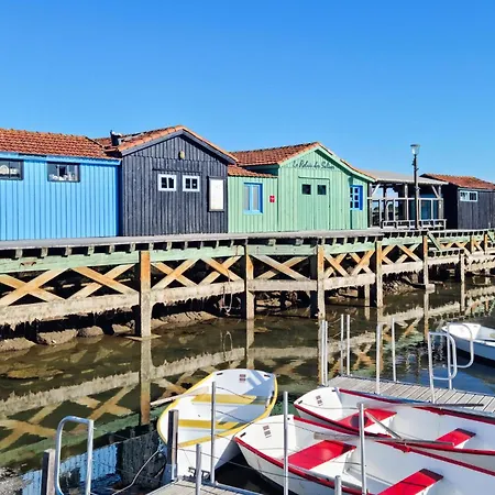 Amazing In Saint-georges-de-didon Saint-Georges-de-Didonne
