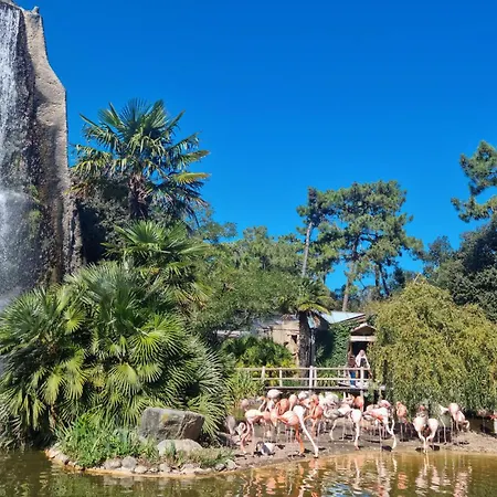 Amazing In Saint-georges-de-didon